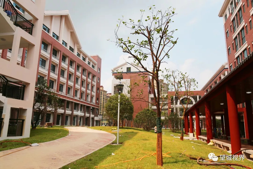 望城周南学校最新动态更新,最新消息一览