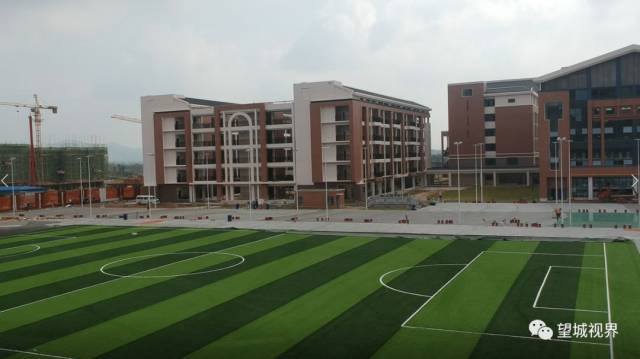 望城周南学校最新动态更新,最新消息一览