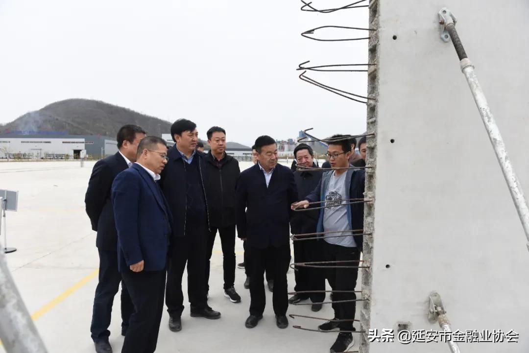 城投控股股票最新动态解析,如何获取并分析股票信息详解