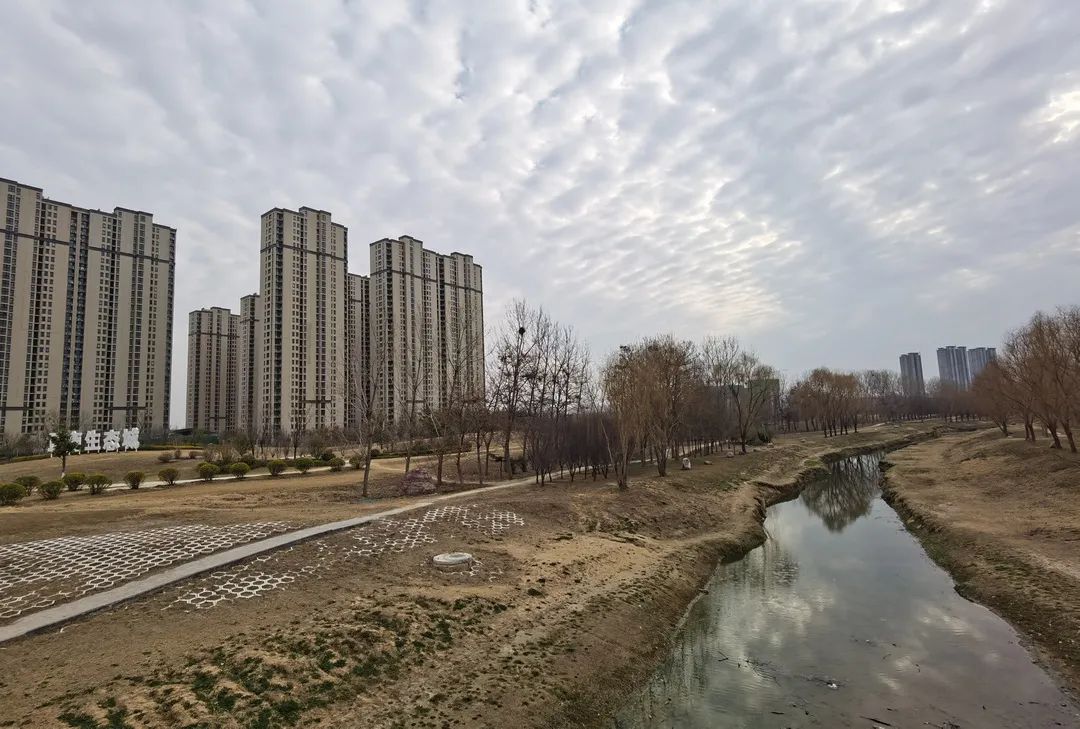 漯河小李庄最新进展，日常趣事与深厚友情中的新篇章