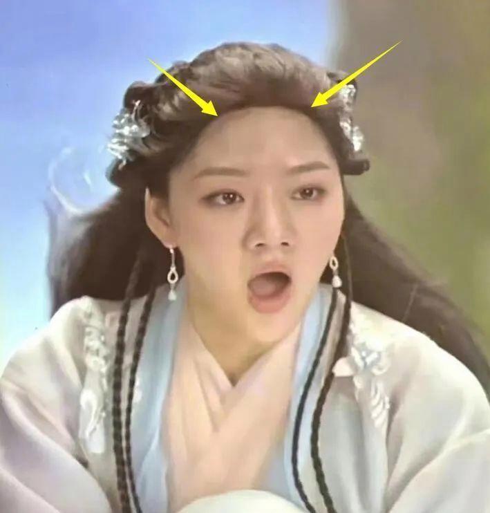 猪猪侠最新一部揭晓，热血冒险继续！