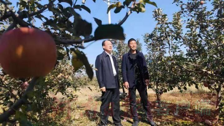 封丘县新任县委书记的温馨日常与友情趣事