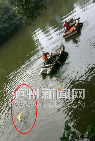 四川内江最新杀人案,小巷神秘小店背后的故事