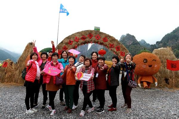 新化武冈高速建设进展指南，最新消息速递