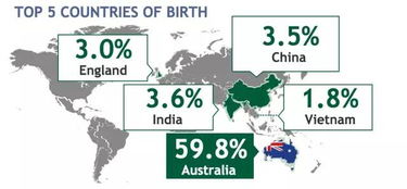 新澳2024年精准特马资料,全身心数据指导枕_EPN41.463内置版