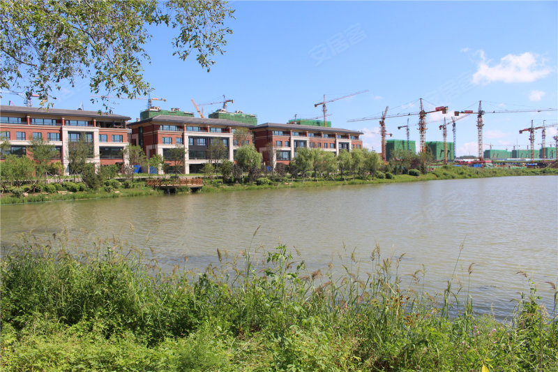 亚泰山语湖最新动态更新