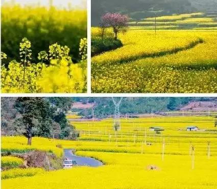 武清高村牛镇最新房源揭秘，新家的故事启程