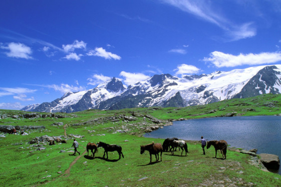 新澳最快开奖结果出来了,动态解读分析_BTE97.101私人版