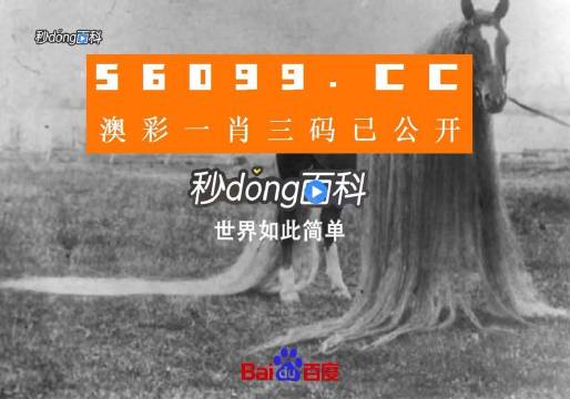 澳门大三巴一肖一码正确,即时解答解析分析_JYD23.174DIY工具版