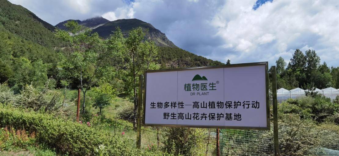 大众网新澳门官网入口,行动规划执行_BAZ97.432搬山境