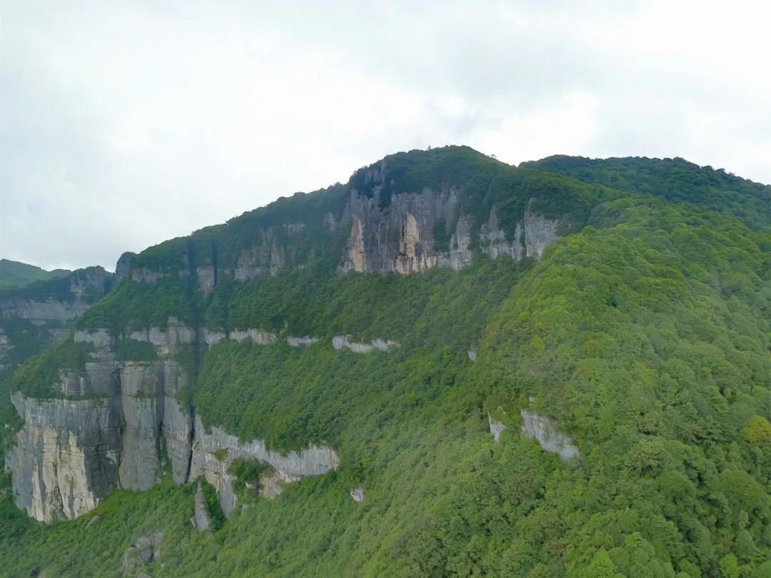 盒马鲜生上海最新门店，科技与生活融合的前沿体验探店记