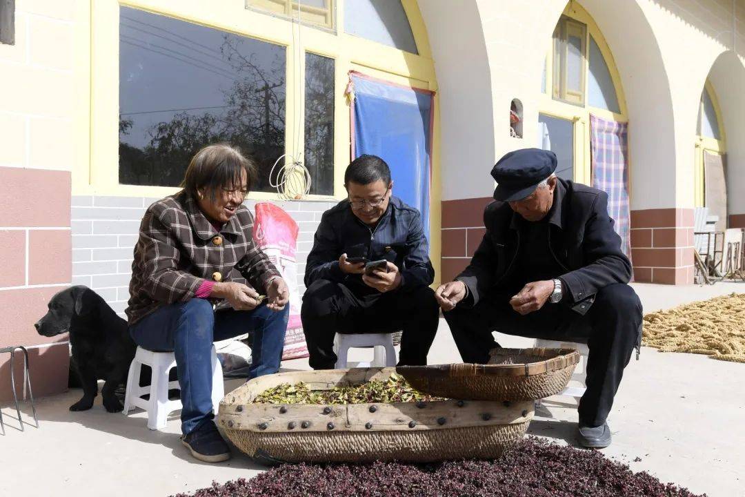 澳门一码一肖一特一中123,科学解说指法律_ZXI9.673动态版