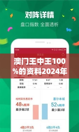 新澳门王中王100,可依赖操作方案_GIN9.675趣味版