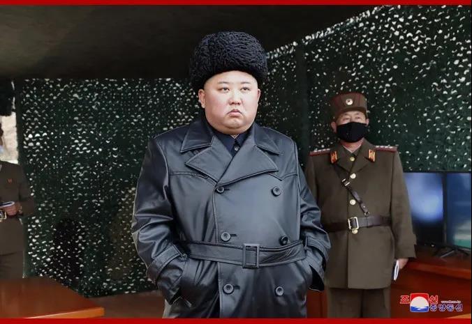金廷恩最新动态，小巷深处的独特风味探秘