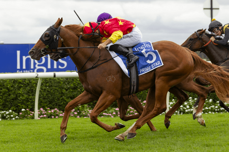 新澳2024年最新特马,实时分析处理_MTX83.121精致生活版