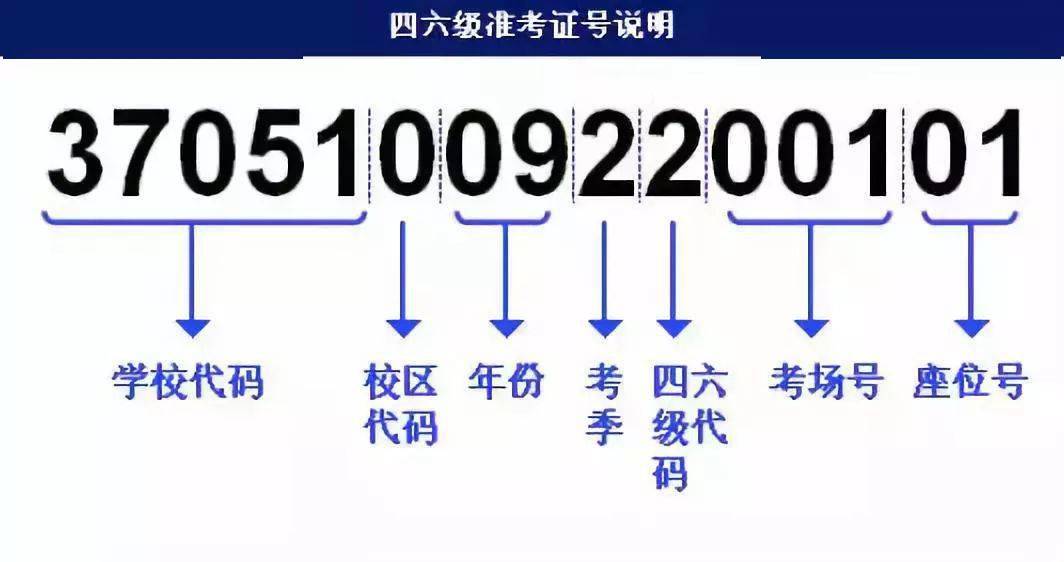 管家婆三肖三期必出一期MBA,实时处理解答计划_JSU83.142美学版