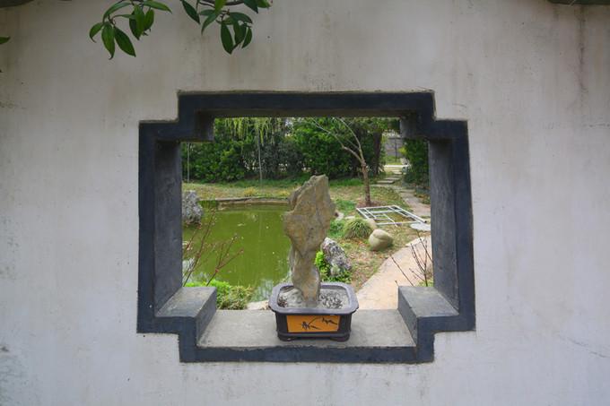 盐城黄尖最新消息,盐城黄尖最新消息，如何获取与利用最新信息完成相关任务