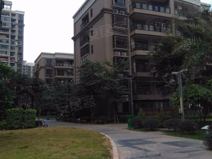 漳州金品花园最新房价探秘，小巷中的隐藏宝藏与独特风情房价揭秘