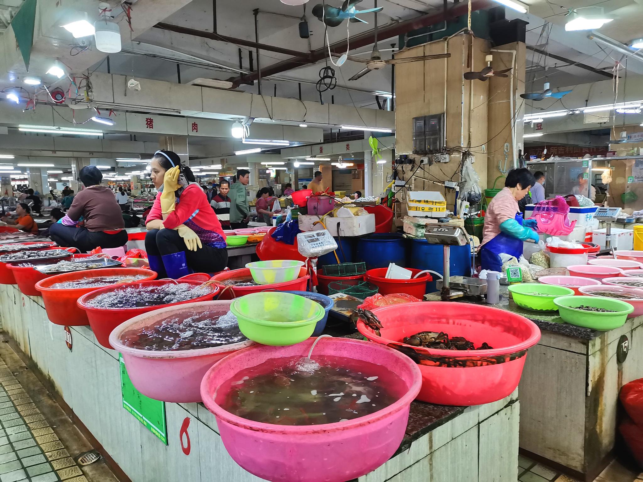 东方巿场最新消息,东方市场最新消息，科技新品引领未来生活潮流