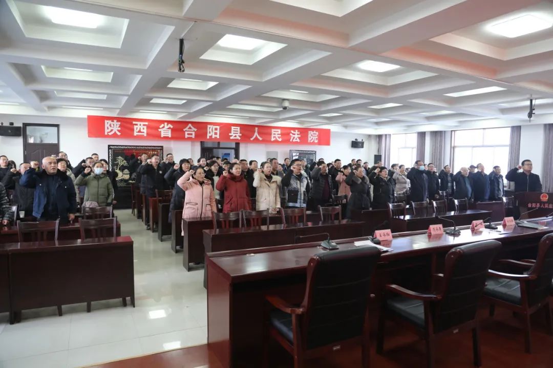 合阳县最新人事任命动态及深度解析