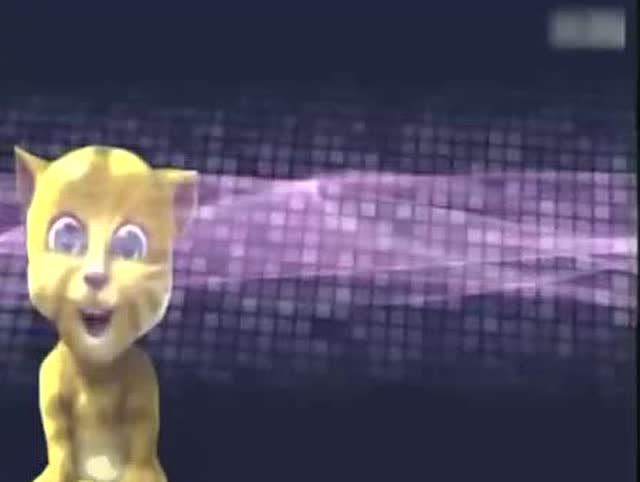 最新金猫侠说段子大全，深度分析与个人立场探讨