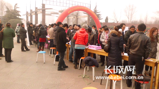 沧州新华区最新招聘探索巷弄深处的独特风景！