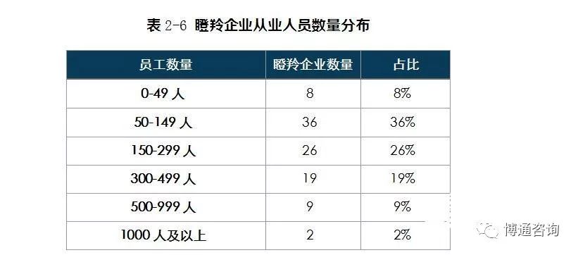 2024特马开码查询,定量解析解释法_HFO9.729复兴版