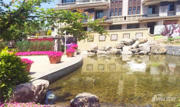 小站天山龙玺最新房价及其背后的故事揭秘