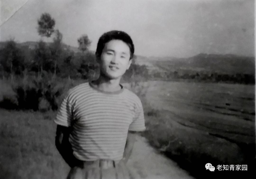 平原最新招聘临时工,机遇与挑战并存的职场机遇