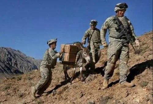 印度边界事件最新动态，跨越界限的温暖友情故事