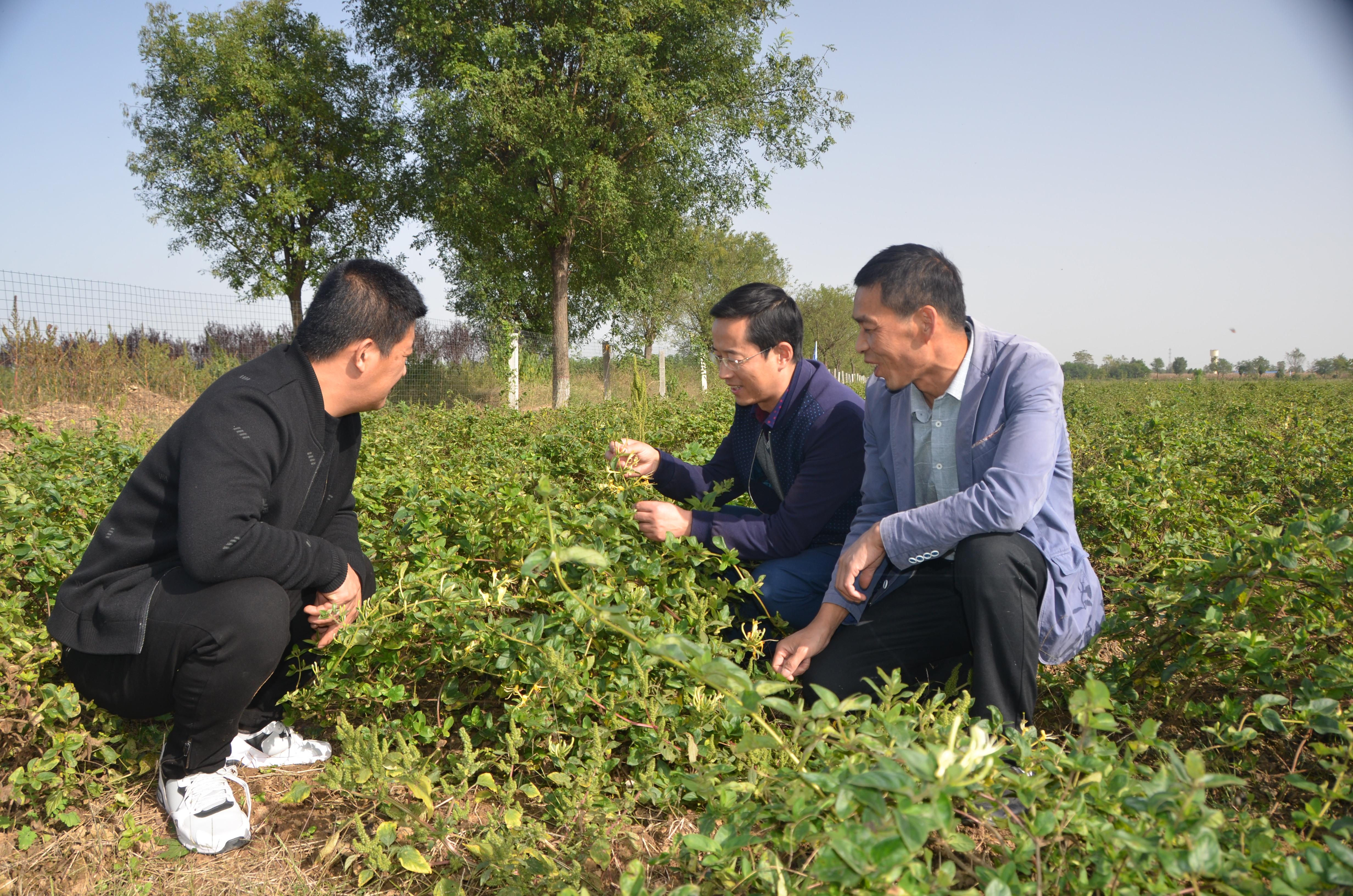 咸阳怡水花园最新房价，科技生活新篇章启动