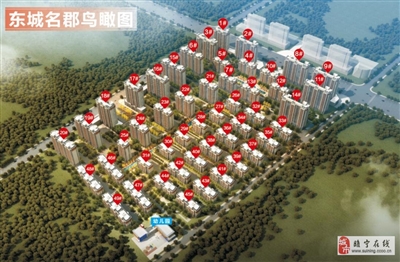 安陆府东名城最新动态更新速递