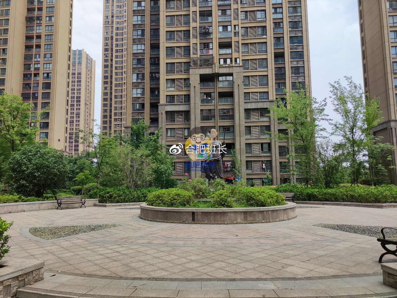 合肥紫荆名都最新房价,时代印记与城市脉动同步更新