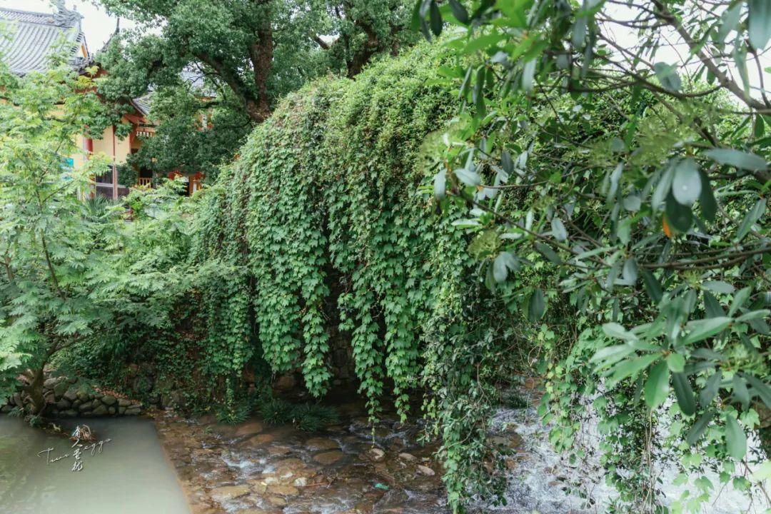 桐庐江南镇最新楼盘，时代印记与地域骄傲同步展现