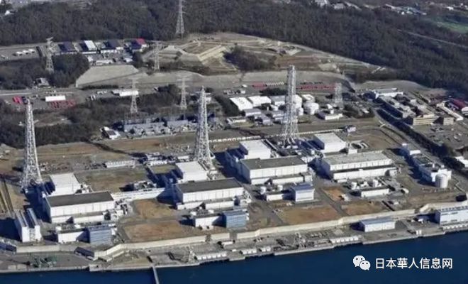 巢湖新闻最新死人事件报道及分析