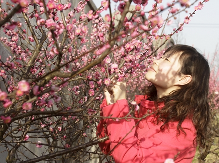 桃花村女人，高科技产品引领未来生活新篇章的最新章节