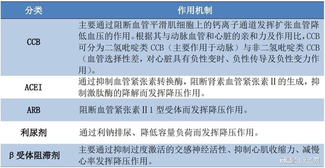 工程和技术研究 第504页
