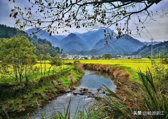 刘伯温三期必出一期,精准数据评估_精致生活版76.366