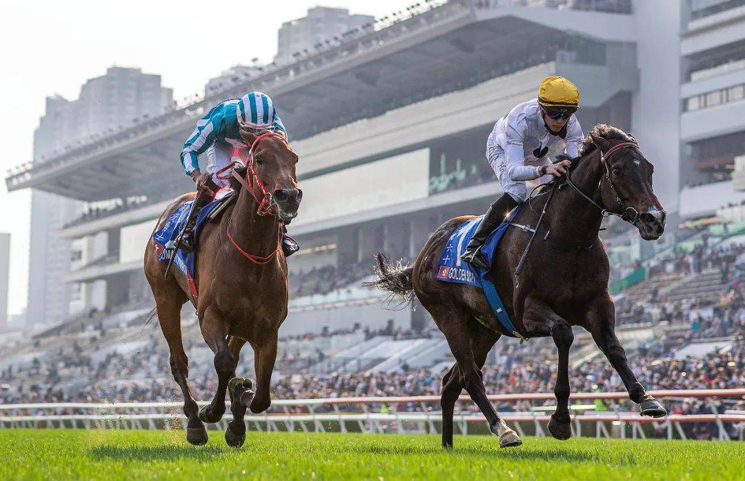 2024年香港买马资料,策略规划_传承版22.127