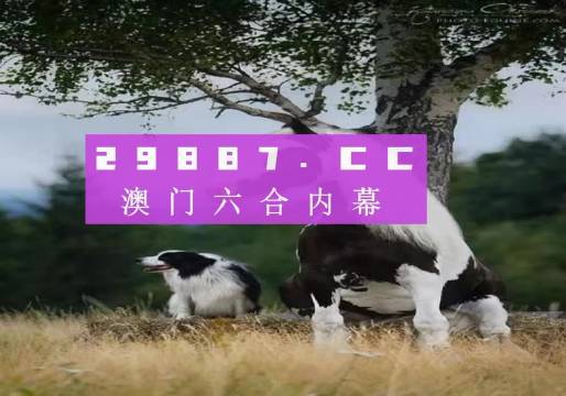 500308.cσm新版跑狗图2024年,大决策资料领取_美学版77.912