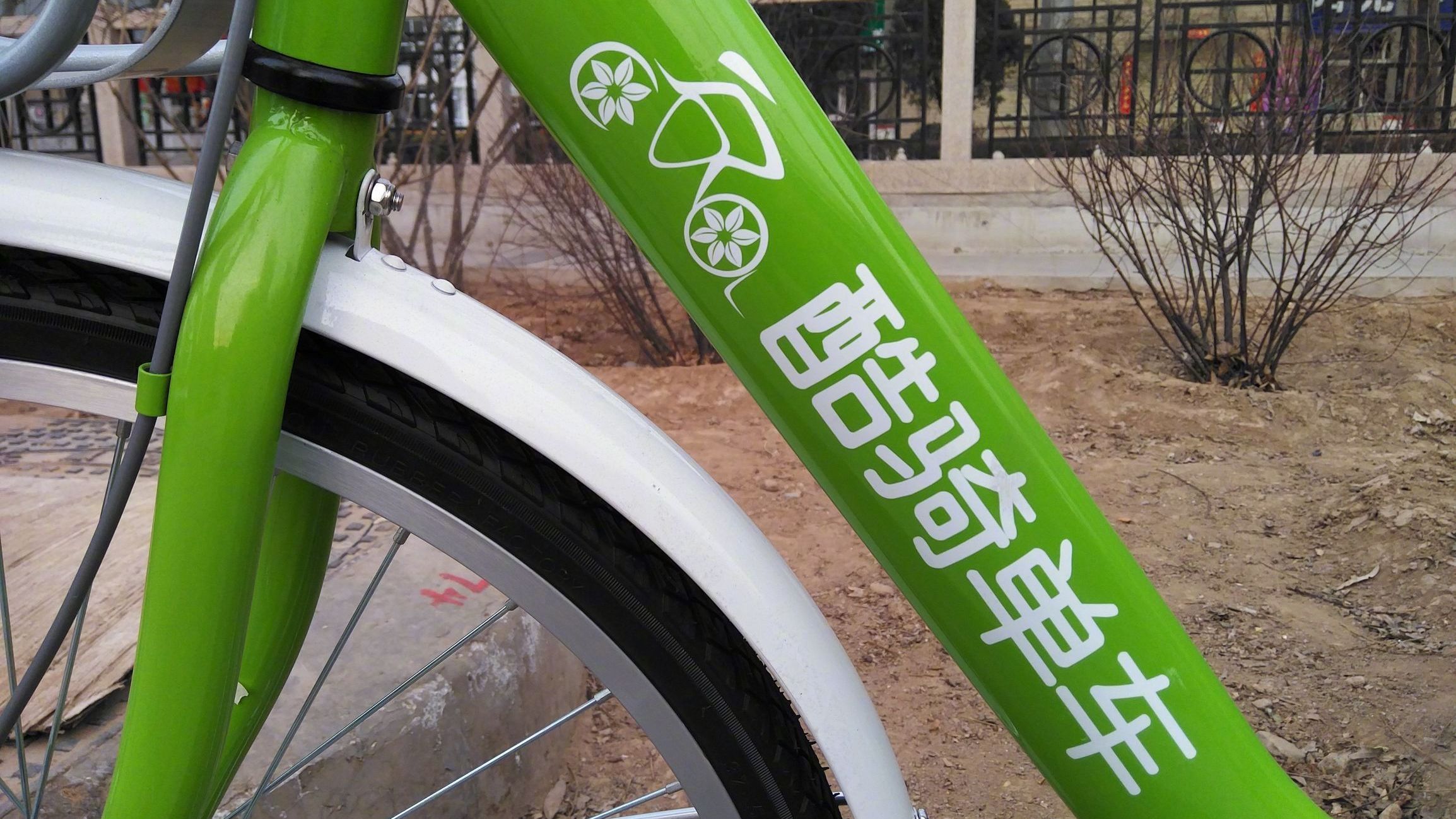 酷骑单车最新动态及其观点分析，影响与展望