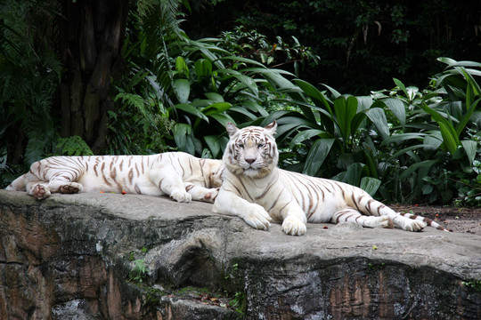工程和技术研究 第492页