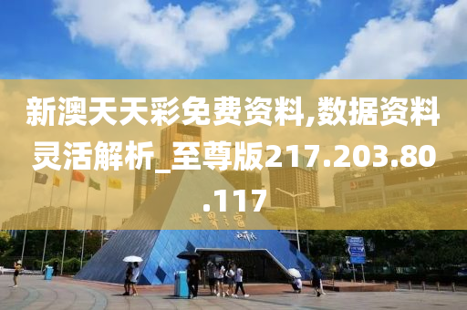 新澳天天彩免费资料查询最新版本,理论考证解析_迅捷版88.731