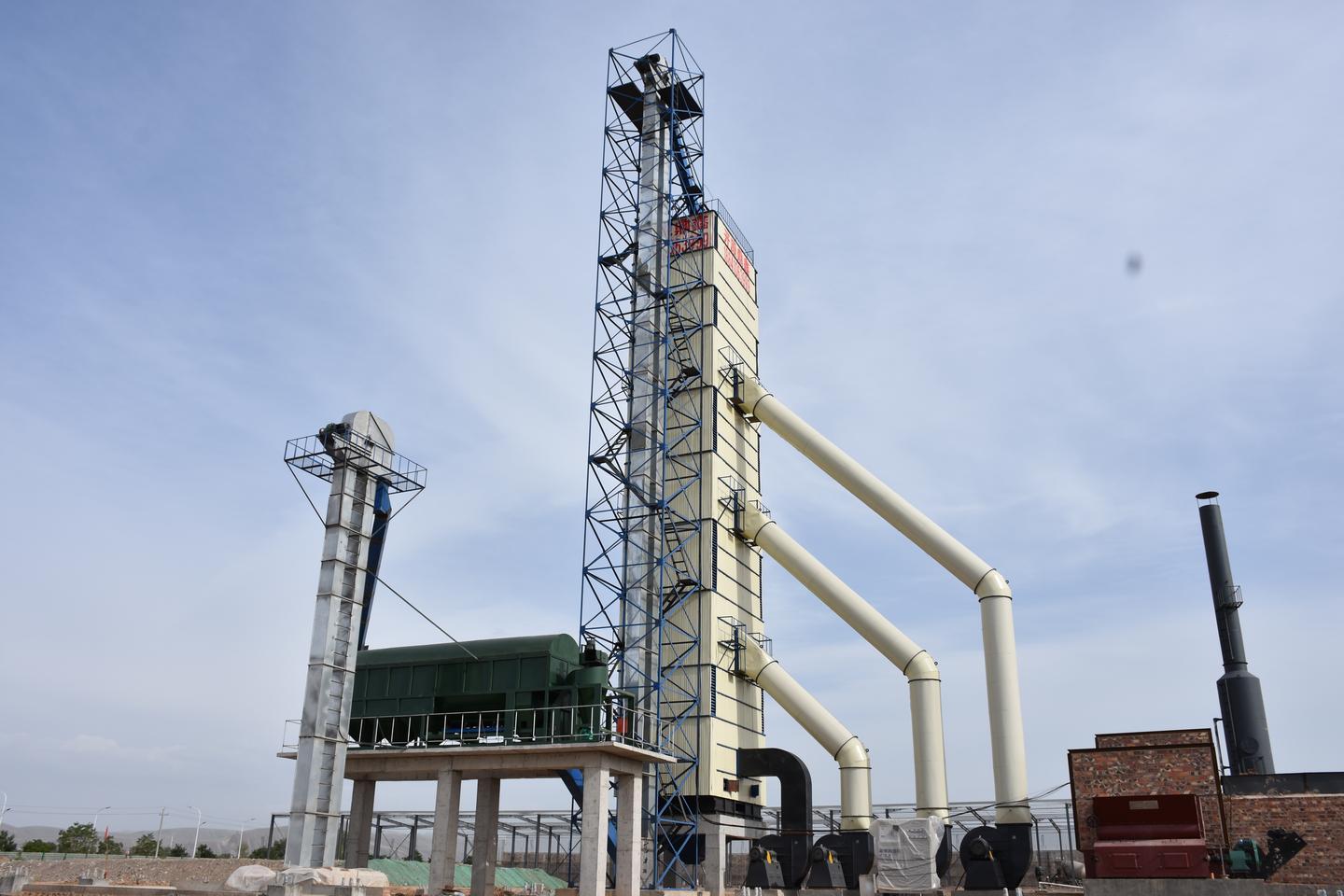 武威玉米价格最新行情及分析