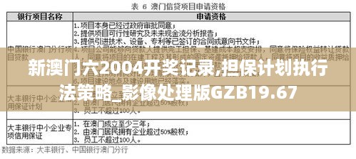 新澳精准资料,担保计划执行法策略_视频版79.795