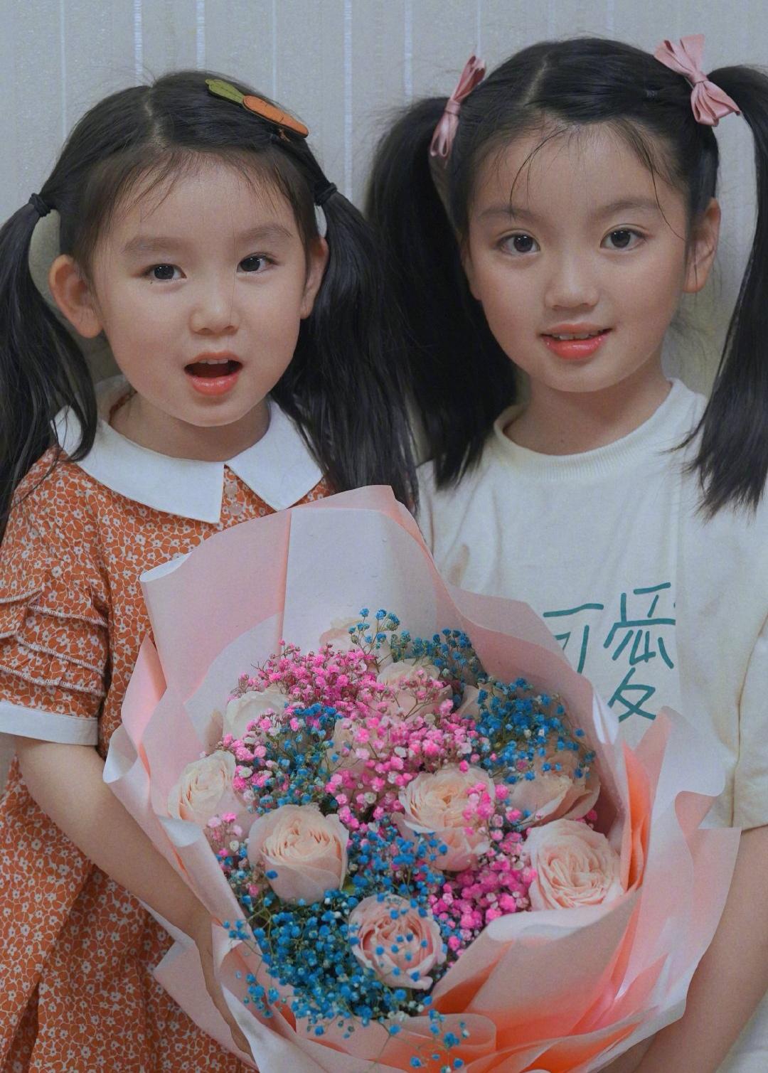 董力阿拉蕾最新动态全面追踪指南,最新报道与深度了解