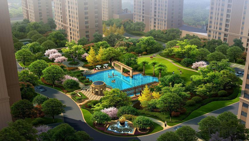 武汉四新最新动态,时代脉搏下的跃动发展