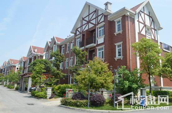 丁山英伦科技新品引领智能生活新潮流,最新消息震撼登场