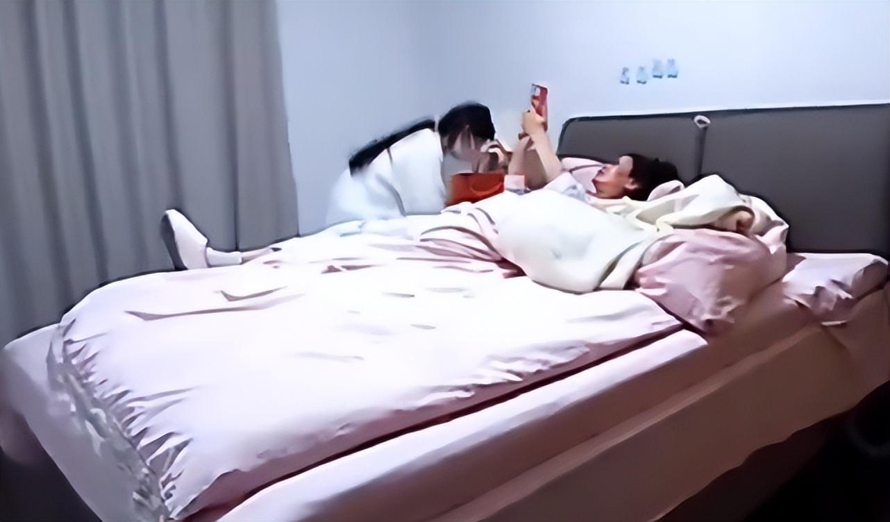 今日上海新闻热点,城市温情与日常小确幸的最新消息