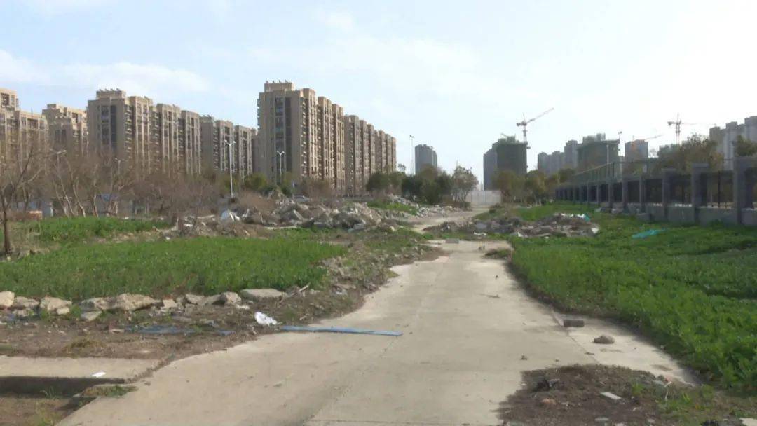 宝应城南新城最新房价,科技重塑居住梦想,触摸未来生活新篇章